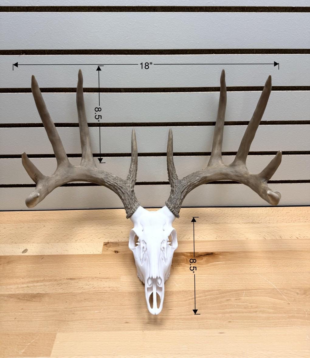 3D Printed Faux Deer Mount – Rustic Wall Decor