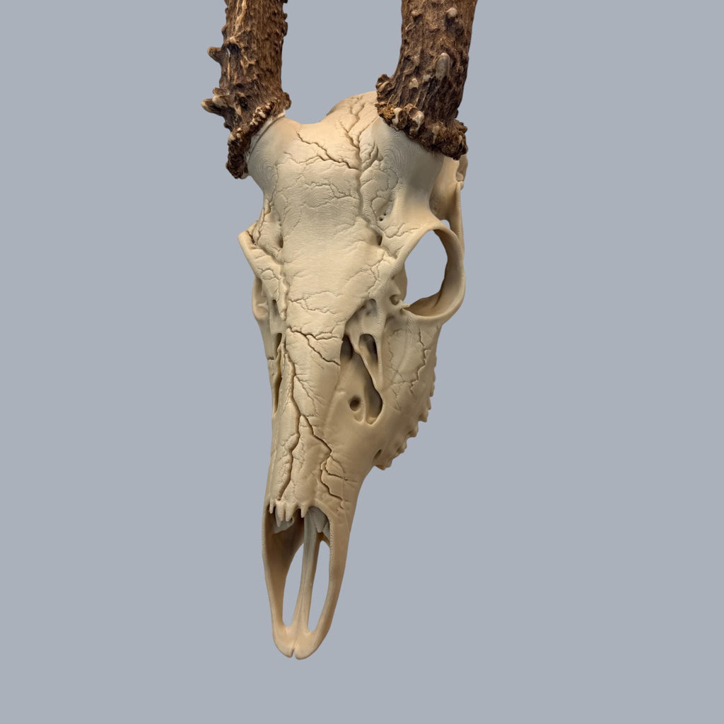 "Lightning" Graphic Antler Skull Mount