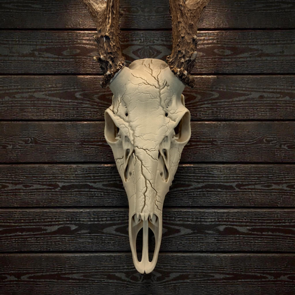 "Lightning" Graphic Antler Skull Mount