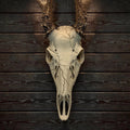 "Lightning" Graphic Antler Skull Mount