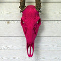 "Prosperity" Graphic Antler Skull Mount