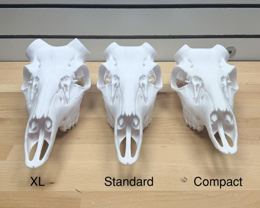 3D Printed Whitetail Deer Euro Mount | Multiple Sizes | Mount Shed Antlers