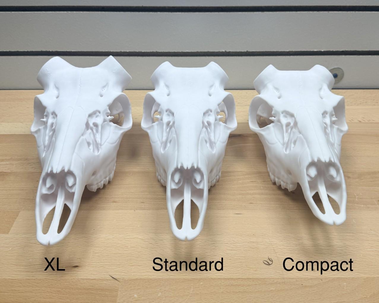 3D Printed Whitetail Deer Euro Mount | Multiple Sizes | Mount Shed Antlers