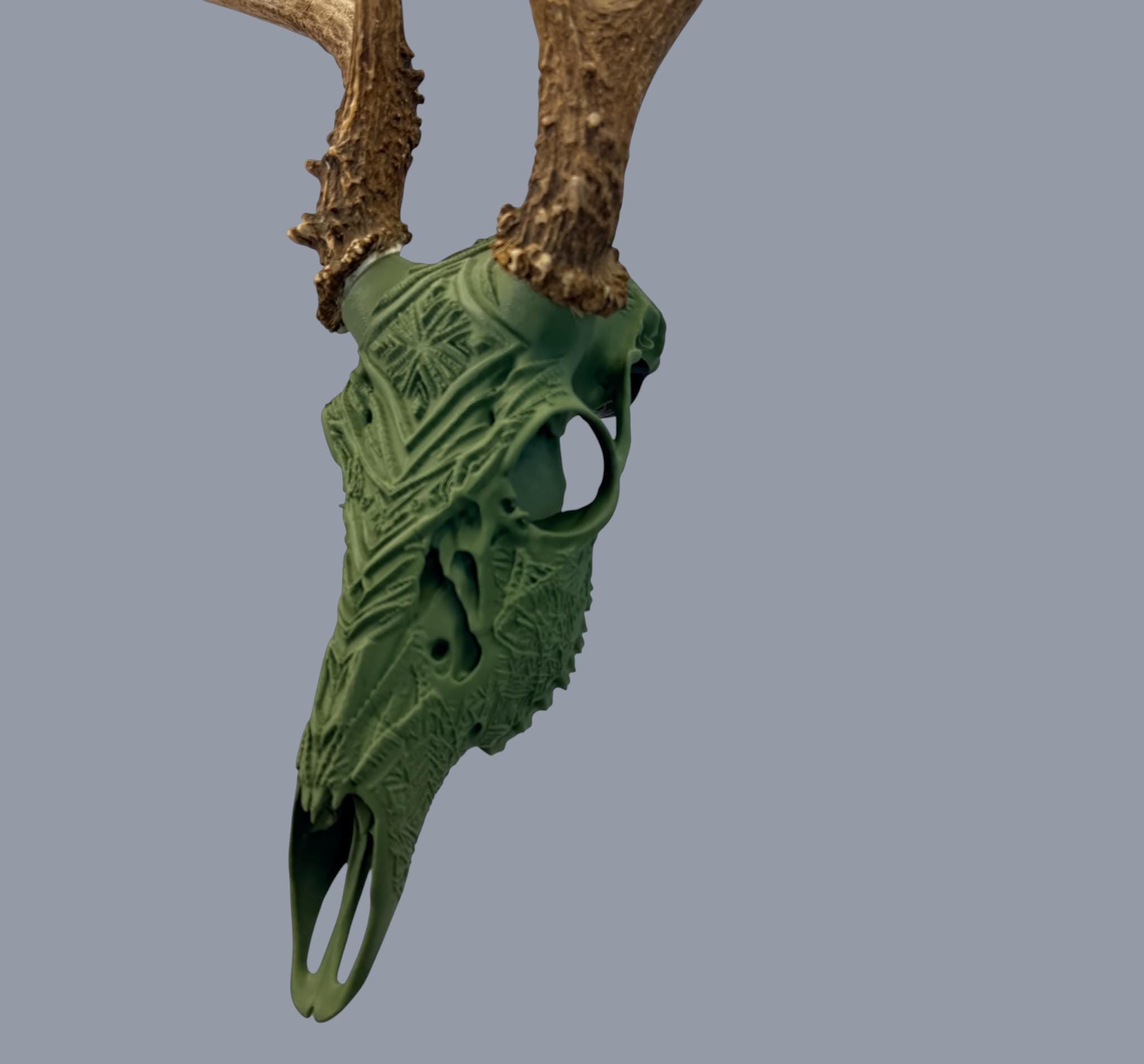 "Bliss" Graphic Antler Skull Mount