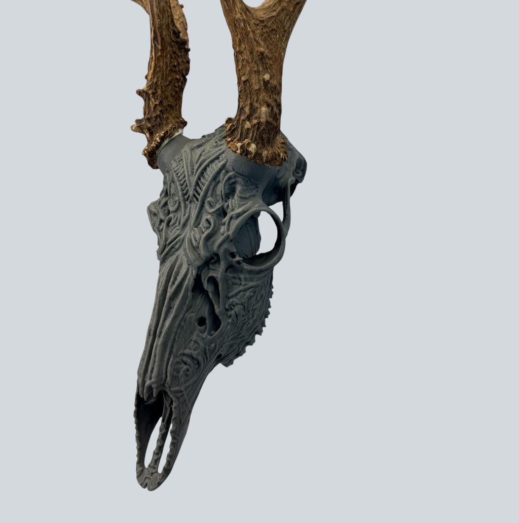 "Sacred" Graphic Antler Skull Mount