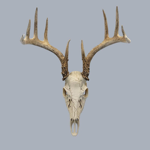 "Lightning" Graphic Antler Skull Mount