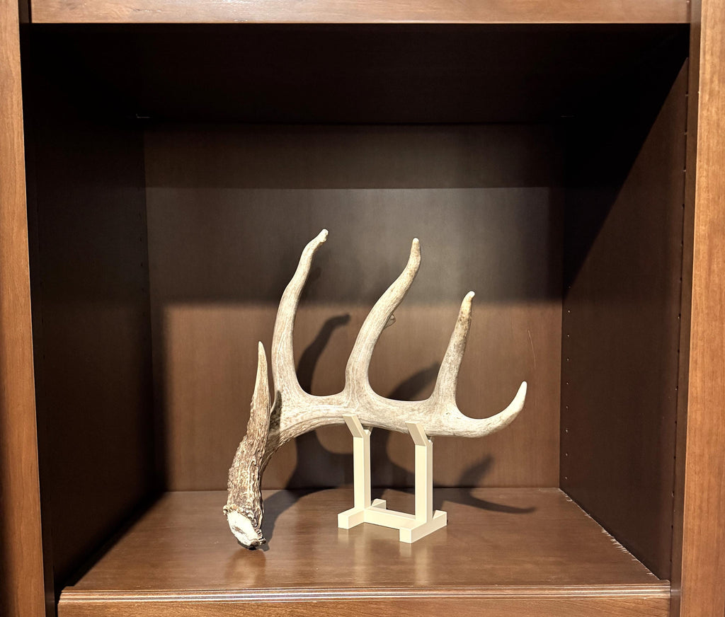 Deer Shed Antler Display Stand - Show Off Your Trophy Finds