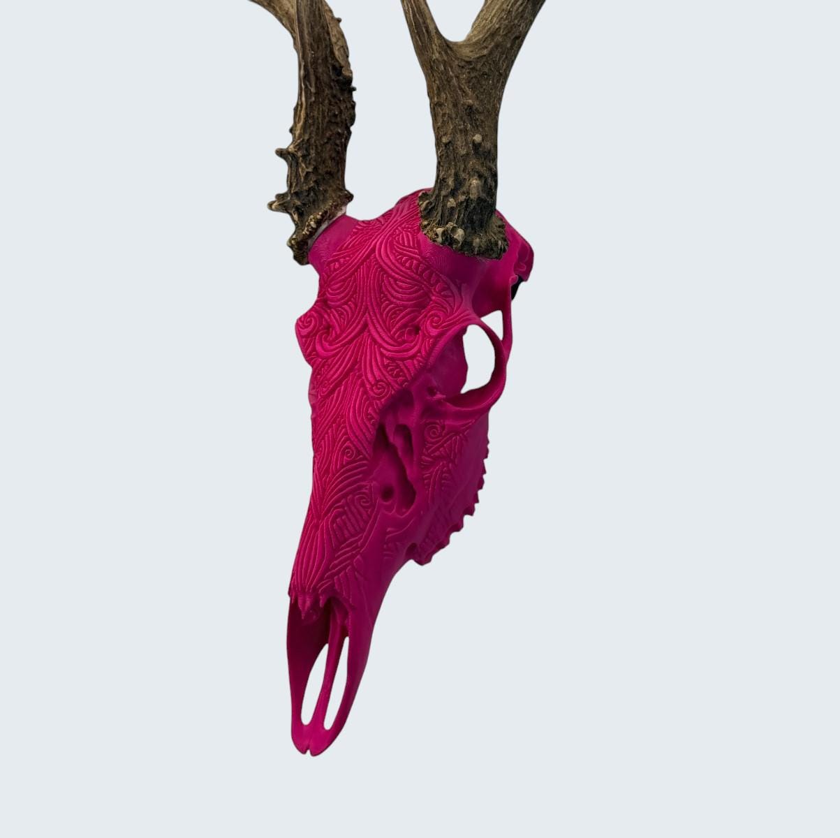 "Prosperity" Graphic Antler Skull Mount