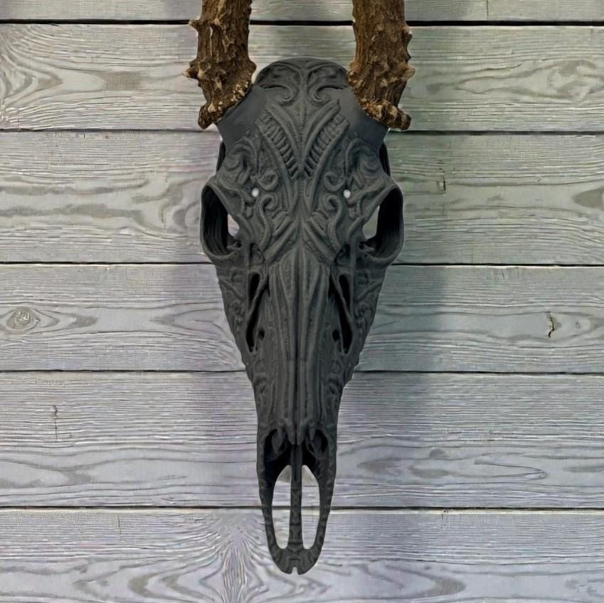 "Sacred" Graphic Antler Skull Mount