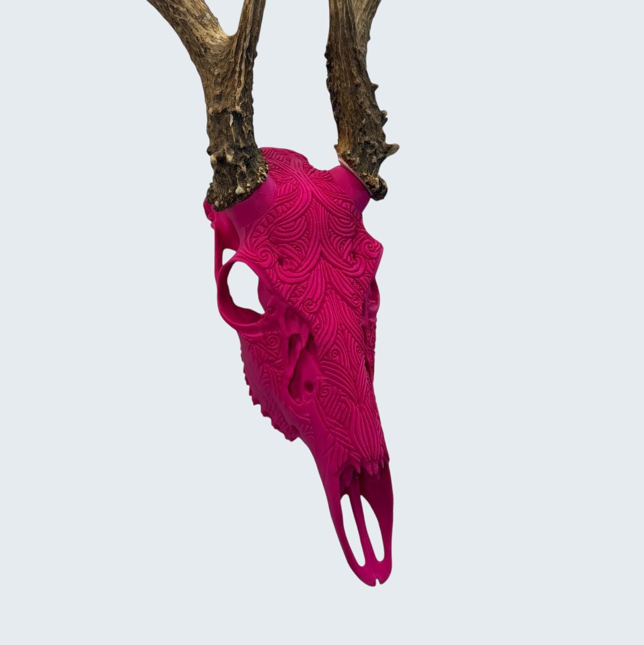 "Prosperity" Graphic Antler Skull Mount
