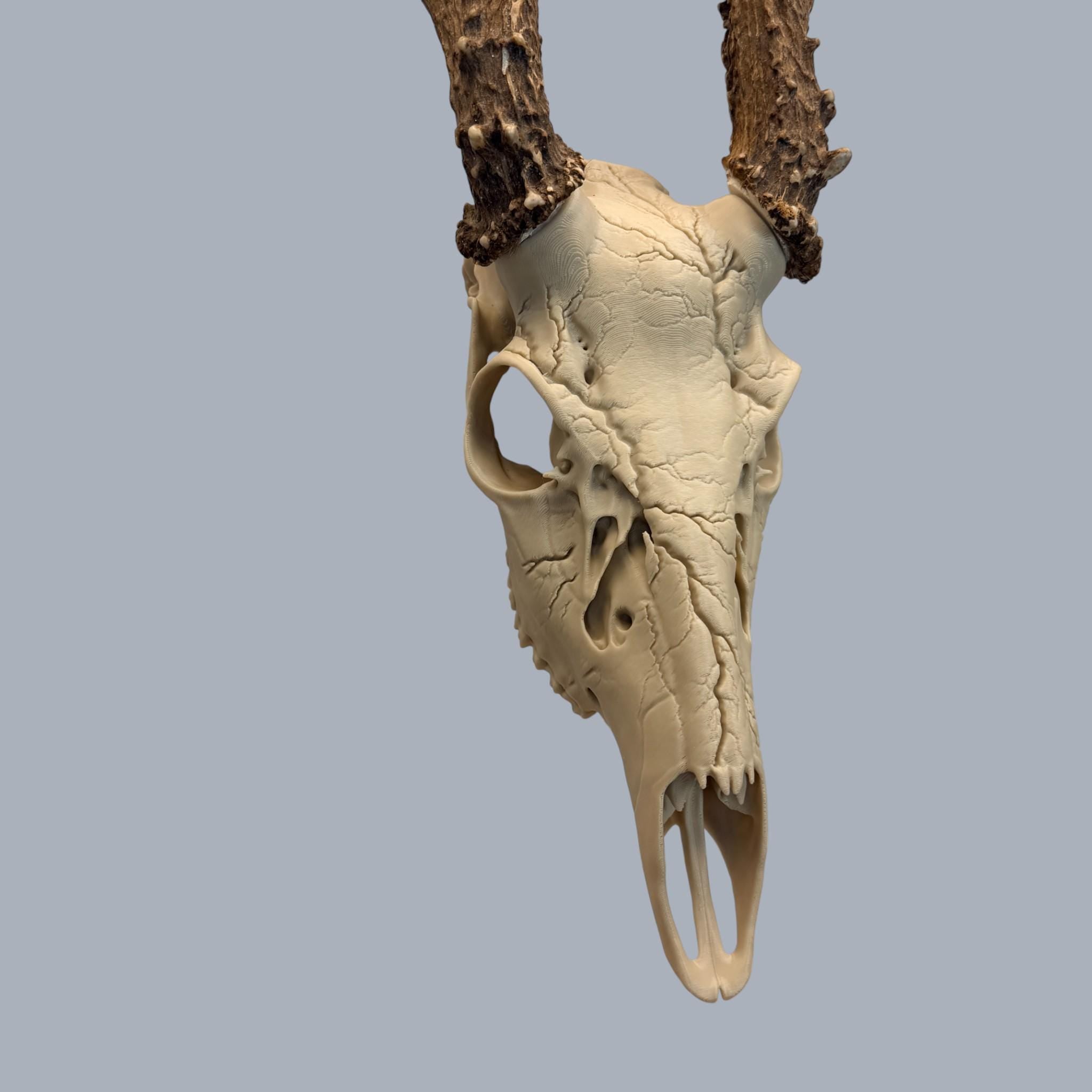 "Lightning" Graphic Antler Skull Mount