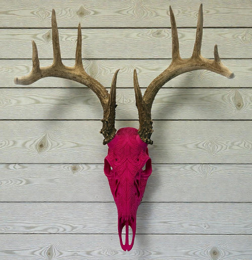 "Prosperity" Graphic Antler Skull Mount