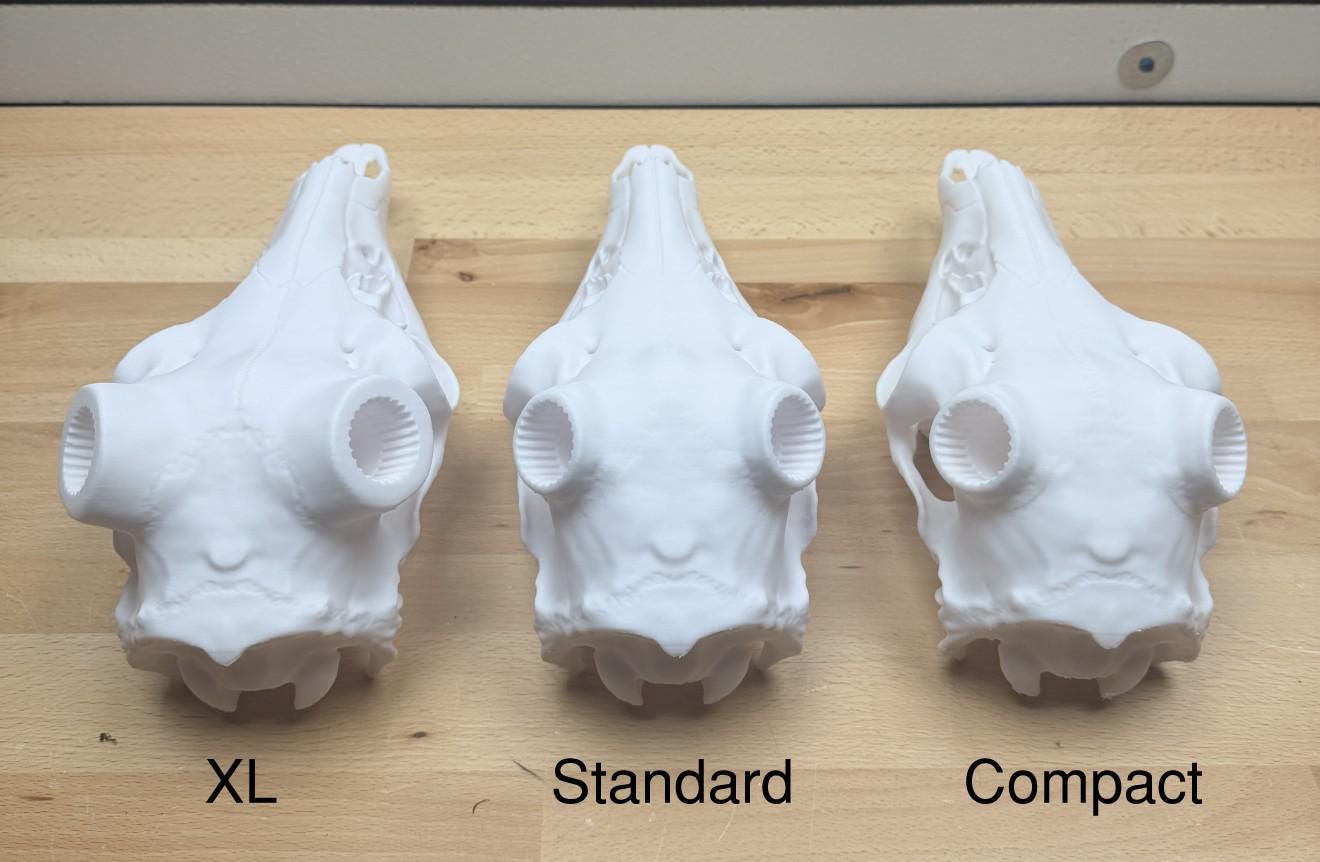 3D Printed Whitetail Deer Euro Mount | Multiple Sizes | Mount Shed Antlers