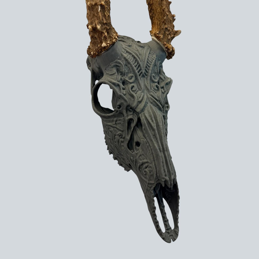 "Sacred" Graphic Antler Skull Mount